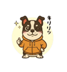 日常会話で大活躍！かわいいパーカー犬4（個別スタンプ：3）