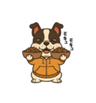 日常会話で大活躍！かわいいパーカー犬4（個別スタンプ：9）