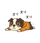 日常会話で大活躍！かわいいパーカー犬4（個別スタンプ：11）