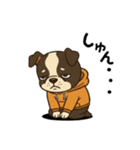 日常会話で大活躍！かわいいパーカー犬4（個別スタンプ：13）