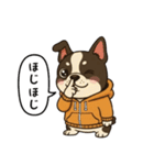 日常会話で大活躍！かわいいパーカー犬4（個別スタンプ：27）