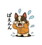 日常会話で大活躍！かわいいパーカー犬4（個別スタンプ：29）