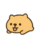 のんびりカピバラ きぶんパレード（個別スタンプ：19）
