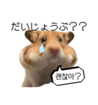 たまに韓国語のハムさん（個別スタンプ：8）