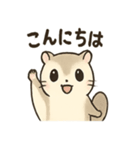 ふわふわエゾモモンガの毎日スタンプ（個別スタンプ：1）
