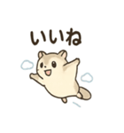 ふわふわエゾモモンガの毎日スタンプ（個別スタンプ：4）