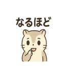 ふわふわエゾモモンガの毎日スタンプ（個別スタンプ：5）