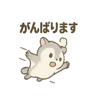 ふわふわエゾモモンガの毎日スタンプ（個別スタンプ：24）