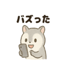 ふわふわエゾモモンガの毎日スタンプ（個別スタンプ：25）