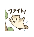 ふわふわエゾモモンガの毎日スタンプ（個別スタンプ：34）