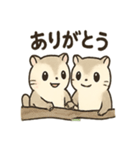 ふわふわエゾモモンガの毎日スタンプ（個別スタンプ：36）