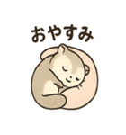 ふわふわエゾモモンガの毎日スタンプ（個別スタンプ：37）