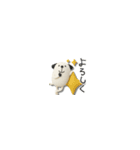 mottoの小さな3D犬♡ベーシック（個別スタンプ：5）