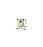 mottoの小さな3D犬♡ベーシック（個別スタンプ：20）