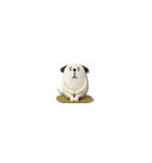 mottoの小さな3D犬♡ベーシック（個別スタンプ：28）