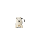 mottoの小さな3D犬♡ベーシック（個別スタンプ：30）