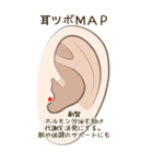 耳つぼ紹介スタンプ（個別スタンプ：10）