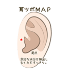 耳つぼ紹介スタンプ（個別スタンプ：12）