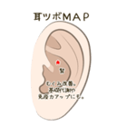 耳つぼ紹介スタンプ（個別スタンプ：18）