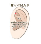 耳つぼ紹介スタンプ（個別スタンプ：21）