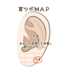 耳つぼ紹介スタンプ（個別スタンプ：24）