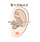 耳つぼ紹介スタンプ（個別スタンプ：27）