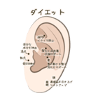 耳つぼ紹介スタンプ（個別スタンプ：29）
