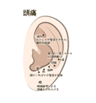 耳つぼ紹介スタンプ（個別スタンプ：30）
