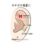 耳つぼ紹介スタンプ（個別スタンプ：38）