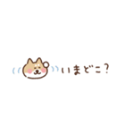 しば犬の省スペース家族連絡（個別スタンプ：16）