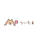 しば犬の省スペース家族連絡（個別スタンプ：18）