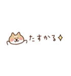 しば犬の省スペース家族連絡（個別スタンプ：25）