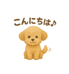 トイプードルのココ 毎日スタンプ（個別スタンプ：1）