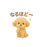 トイプードルのココ 毎日スタンプ（個別スタンプ：5）
