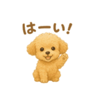 トイプードルのココ 毎日スタンプ（個別スタンプ：6）