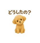 トイプードルのココ 毎日スタンプ（個別スタンプ：11）