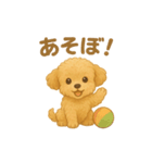 トイプードルのココ 毎日スタンプ（個別スタンプ：13）