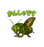 キモカワ昆虫キメラ☆カマキリ蝶 84（個別スタンプ：13）