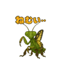 キモカワ昆虫キメラ☆カマキリ蝶 84（個別スタンプ：14）