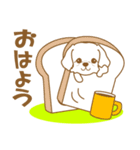 わんこびより(マルチーズ)①（個別スタンプ：1）