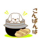 わんこびより(マルチーズ)①（個別スタンプ：4）