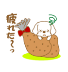 わんこびより(マルチーズ)①（個別スタンプ：8）