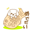 わんこびより(マルチーズ)①（個別スタンプ：11）