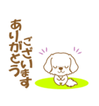わんこびより(マルチーズ)①（個別スタンプ：14）