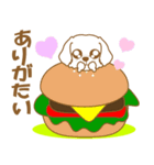 わんこびより(マルチーズ)①（個別スタンプ：16）