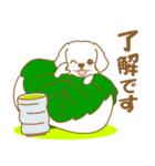 わんこびより(マルチーズ)①（個別スタンプ：17）