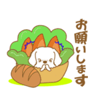 わんこびより(マルチーズ)①（個別スタンプ：21）