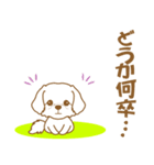 わんこびより(マルチーズ)①（個別スタンプ：23）