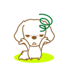 わんこびより(マルチーズ)①（個別スタンプ：36）