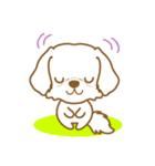 わんこびより(マルチーズ)①（個別スタンプ：37）